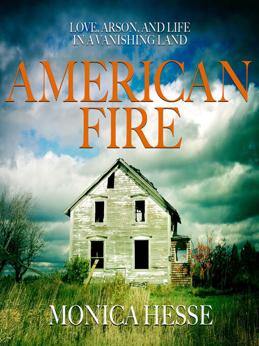 Title details for American Fire by Monica Hesse - Wait list